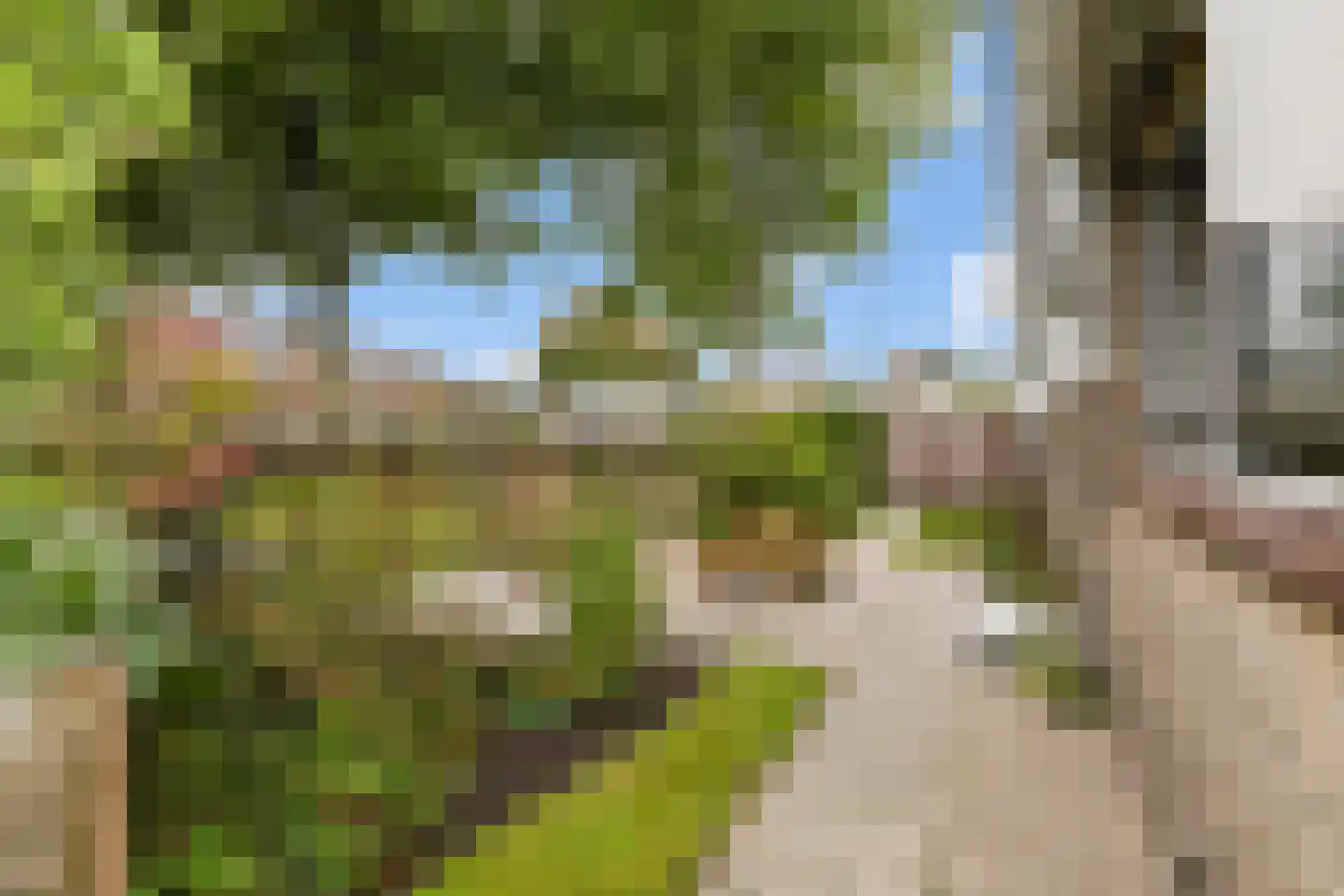 De Terp 7 Blije thumbnail 31