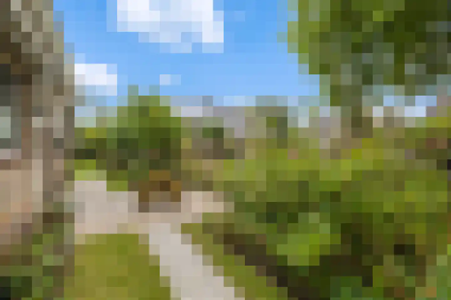 De Terp 7 Blije thumbnail 32