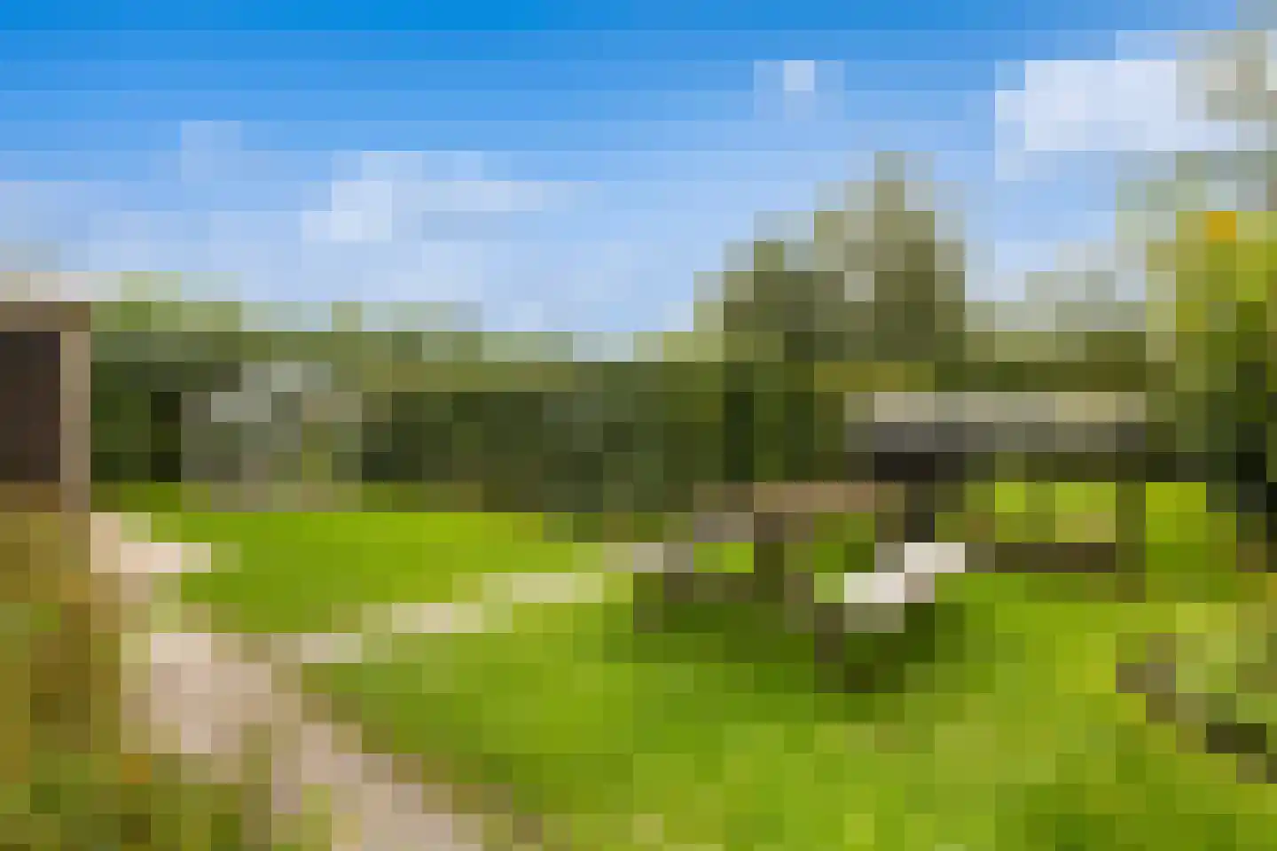 De Terp 7 Blije thumbnail 33