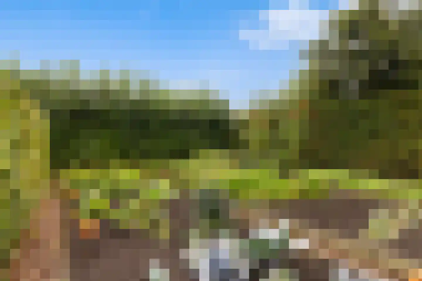 De Terp 7 Blije thumbnail 34