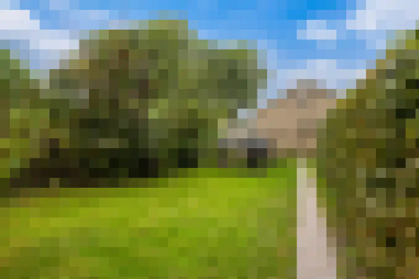 De Terp 7 Blije thumbnail 35