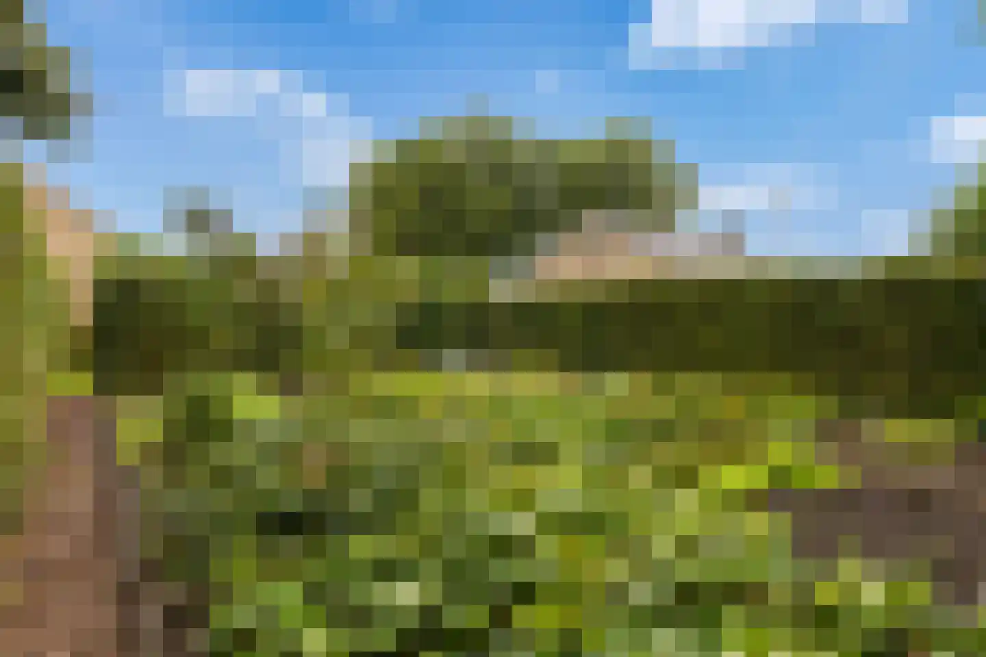 De Terp 7 Blije thumbnail 36
