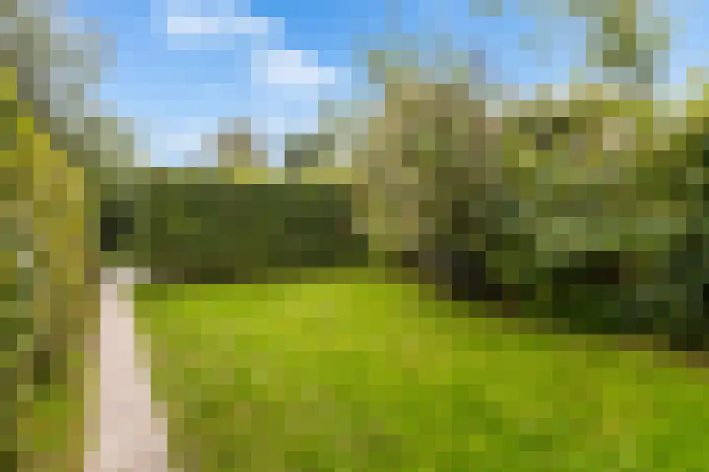 De Terp 7 Blije thumbnail 37