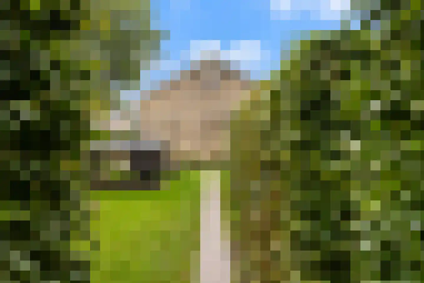 De Terp 7 Blije thumbnail 38