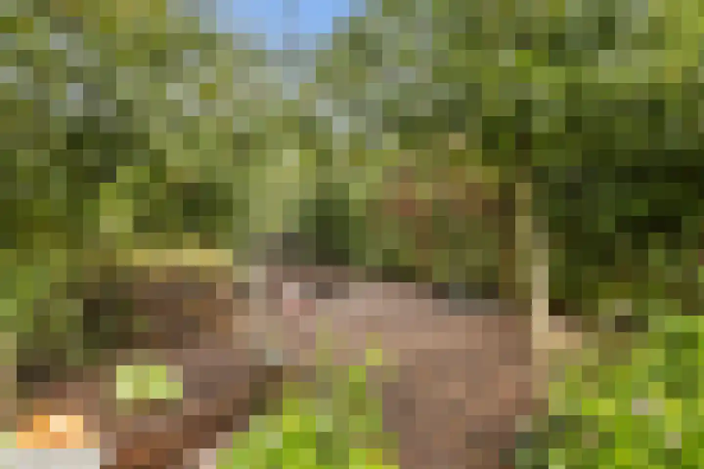 De Terp 7 Blije thumbnail 39