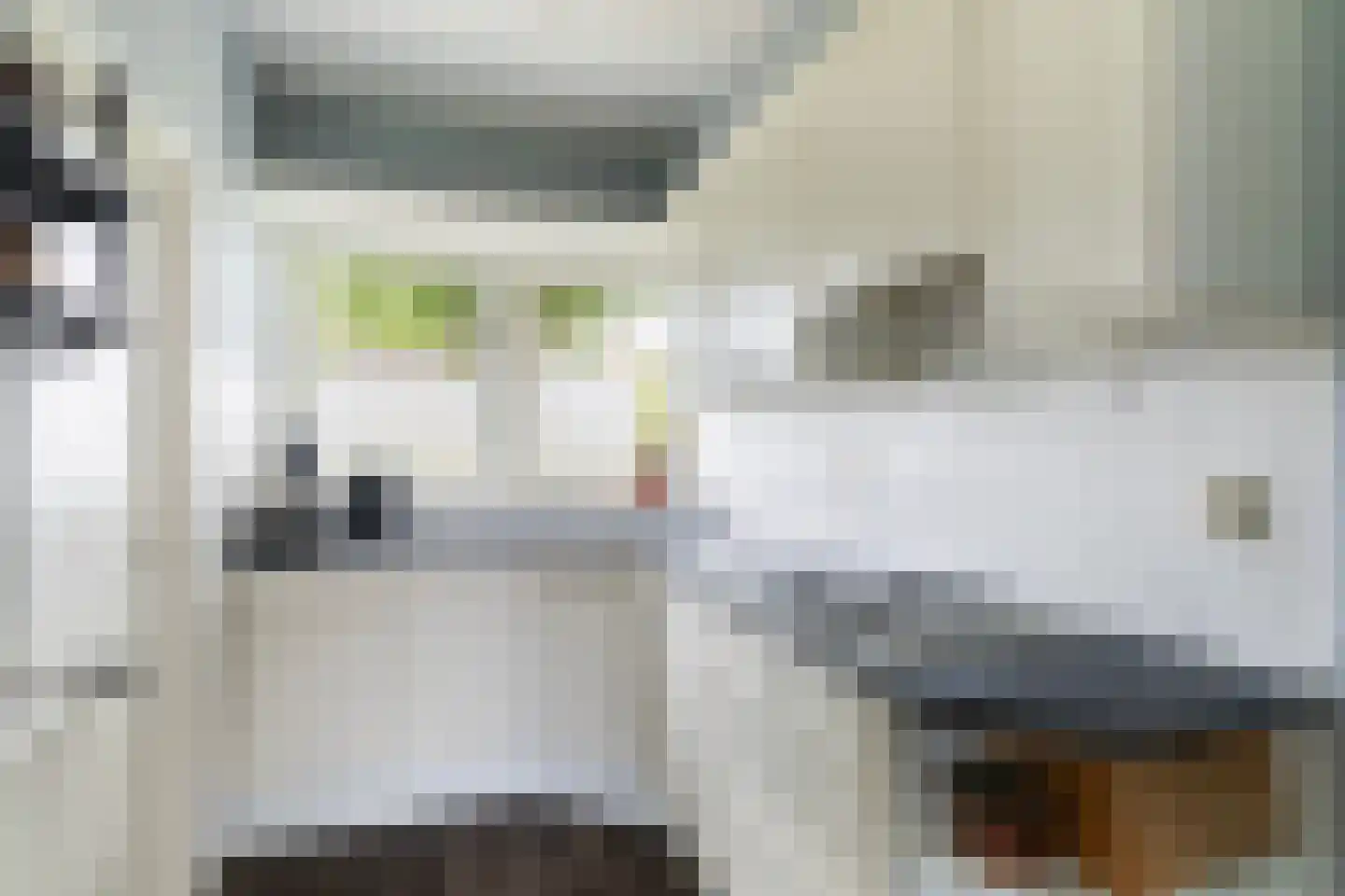 De Terp 7 Blije thumbnail 4