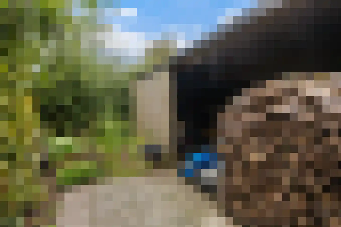 De Terp 7 Blije thumbnail 41