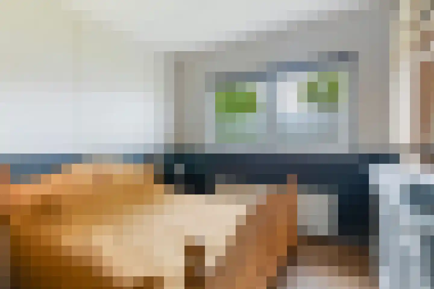 De Terp 7 Blije thumbnail 43