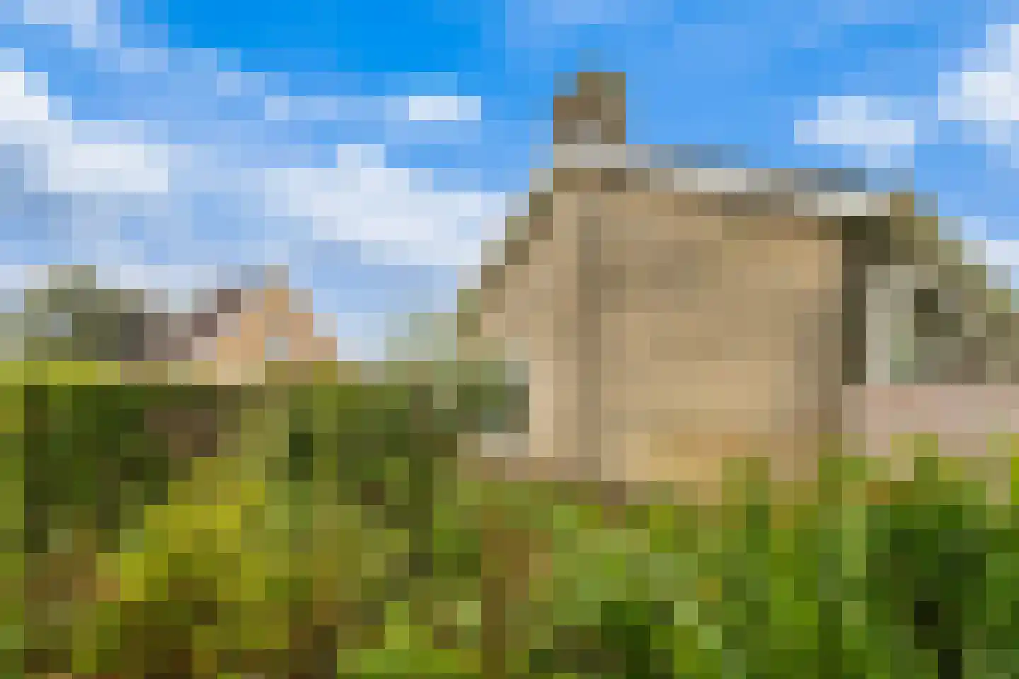 De Terp 7 Blije thumbnail 49