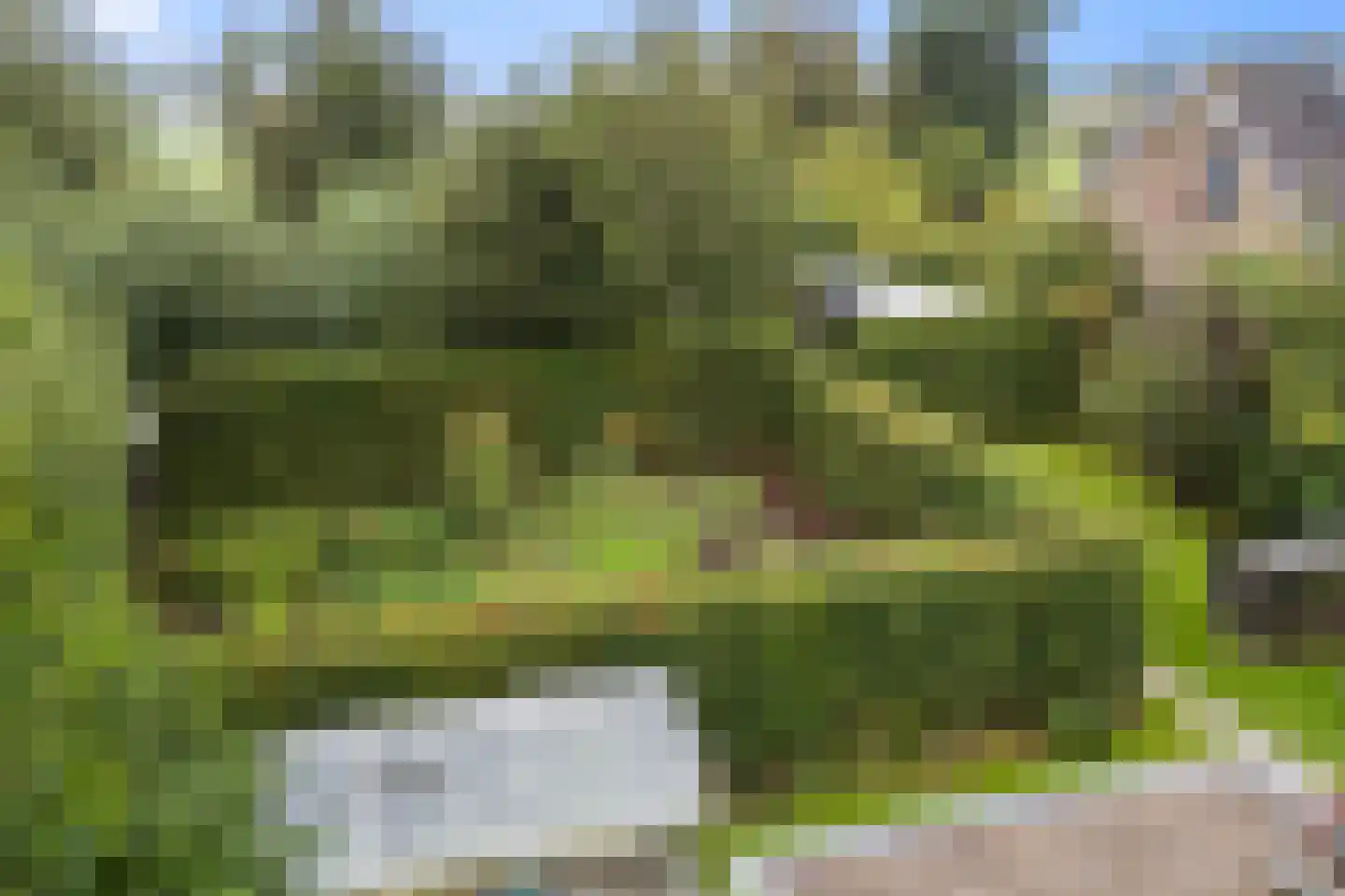 De Terp 7 Blije thumbnail 50