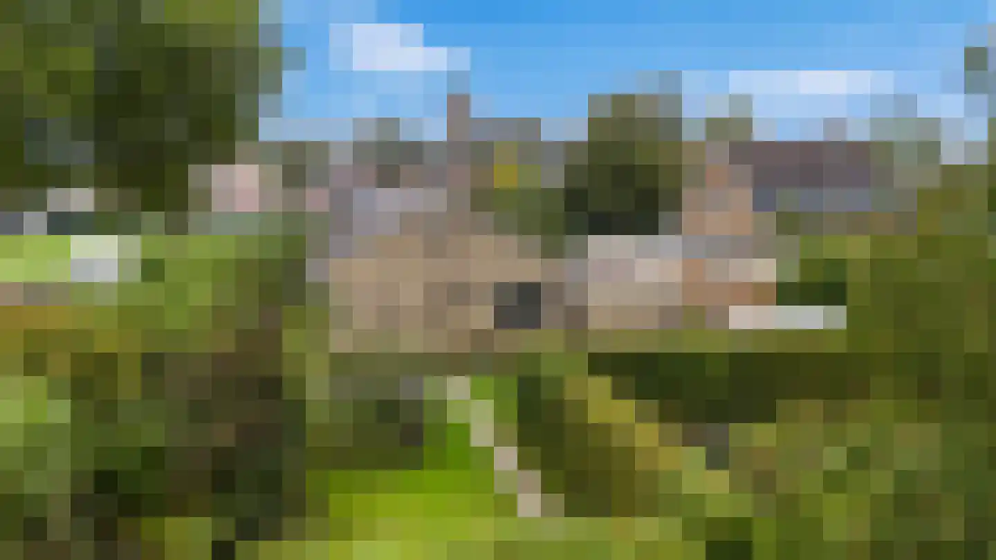 De Terp 7 Blije thumbnail 51