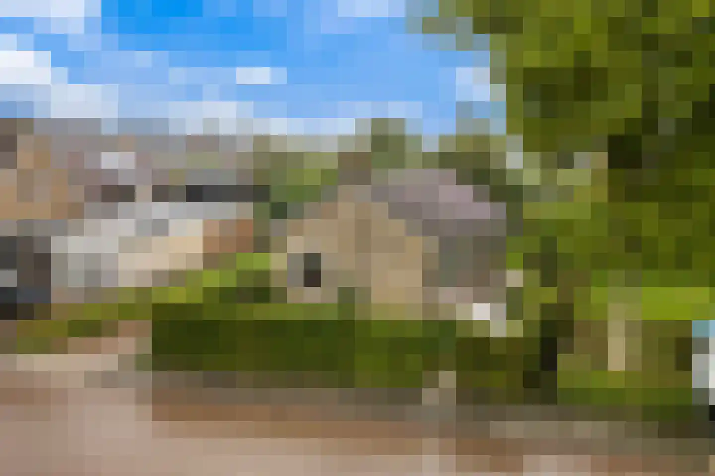 De Terp 7 Blije thumbnail 8