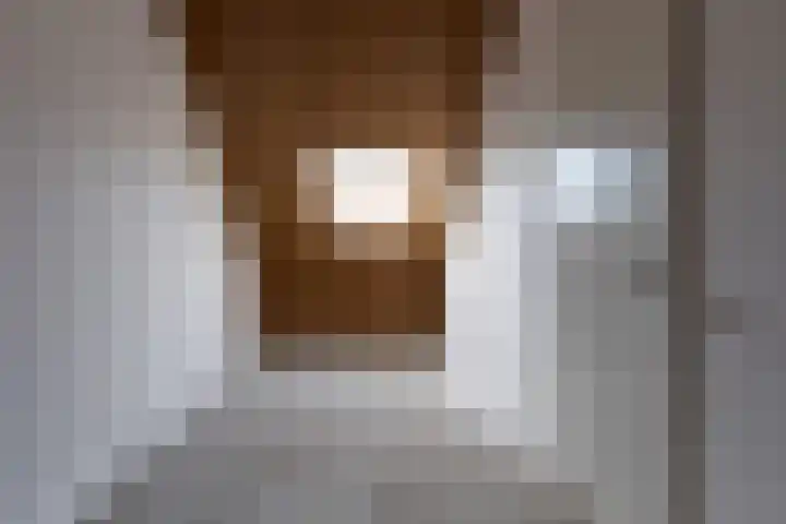 De Terp 7 Geldermalsen thumbnail 15