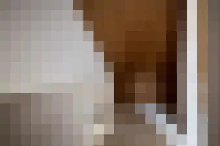 De Terp 7 Geldermalsen thumbnail 16