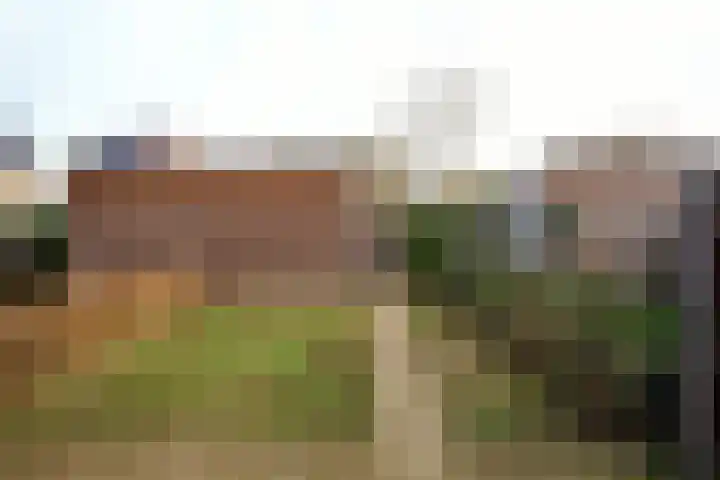 De Terp 7 Geldermalsen thumbnail 18