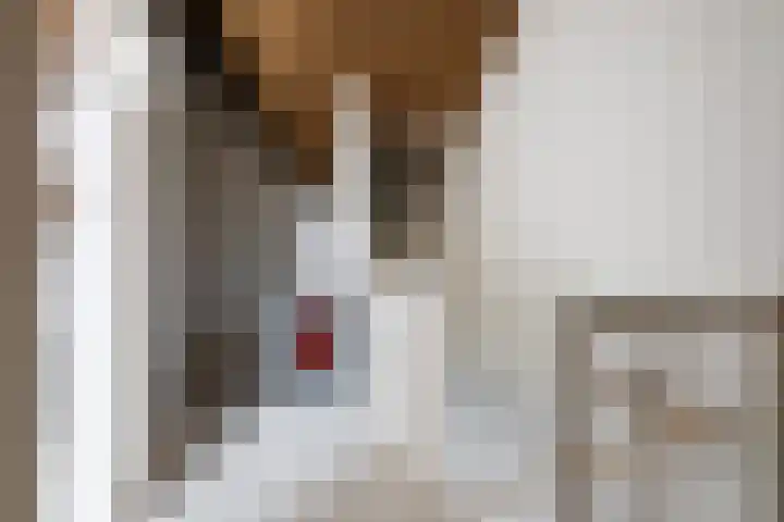 De Terp 9 Geldermalsen thumbnail 14