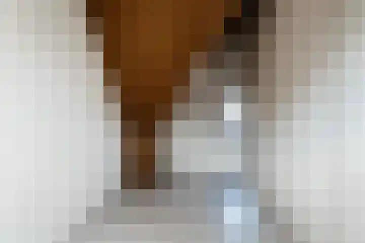 De Terp 9 Geldermalsen thumbnail 16
