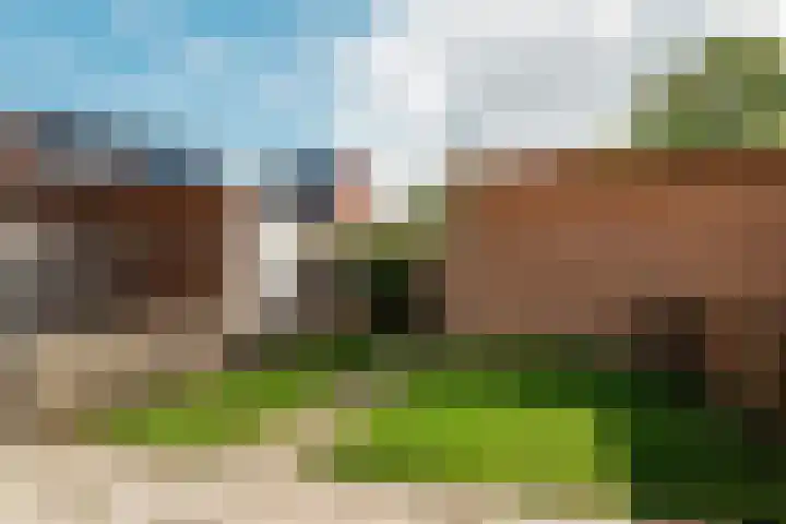 De Terp 9 Geldermalsen thumbnail 17