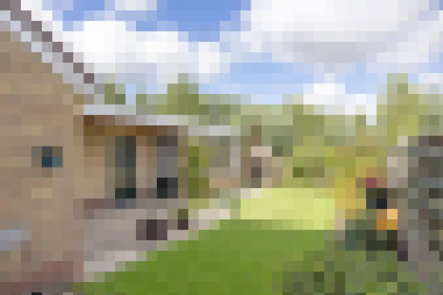De Terpen 3 Bolsward thumbnail 33