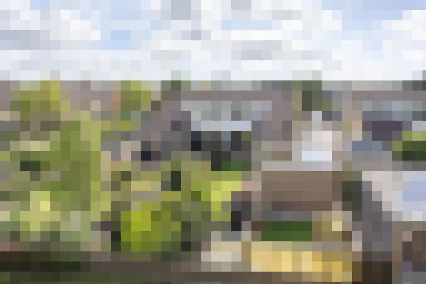 De Terpen 3 Bolsward thumbnail 4