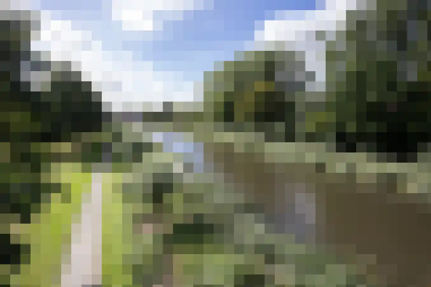De Terpen 3 Bolsward thumbnail 45