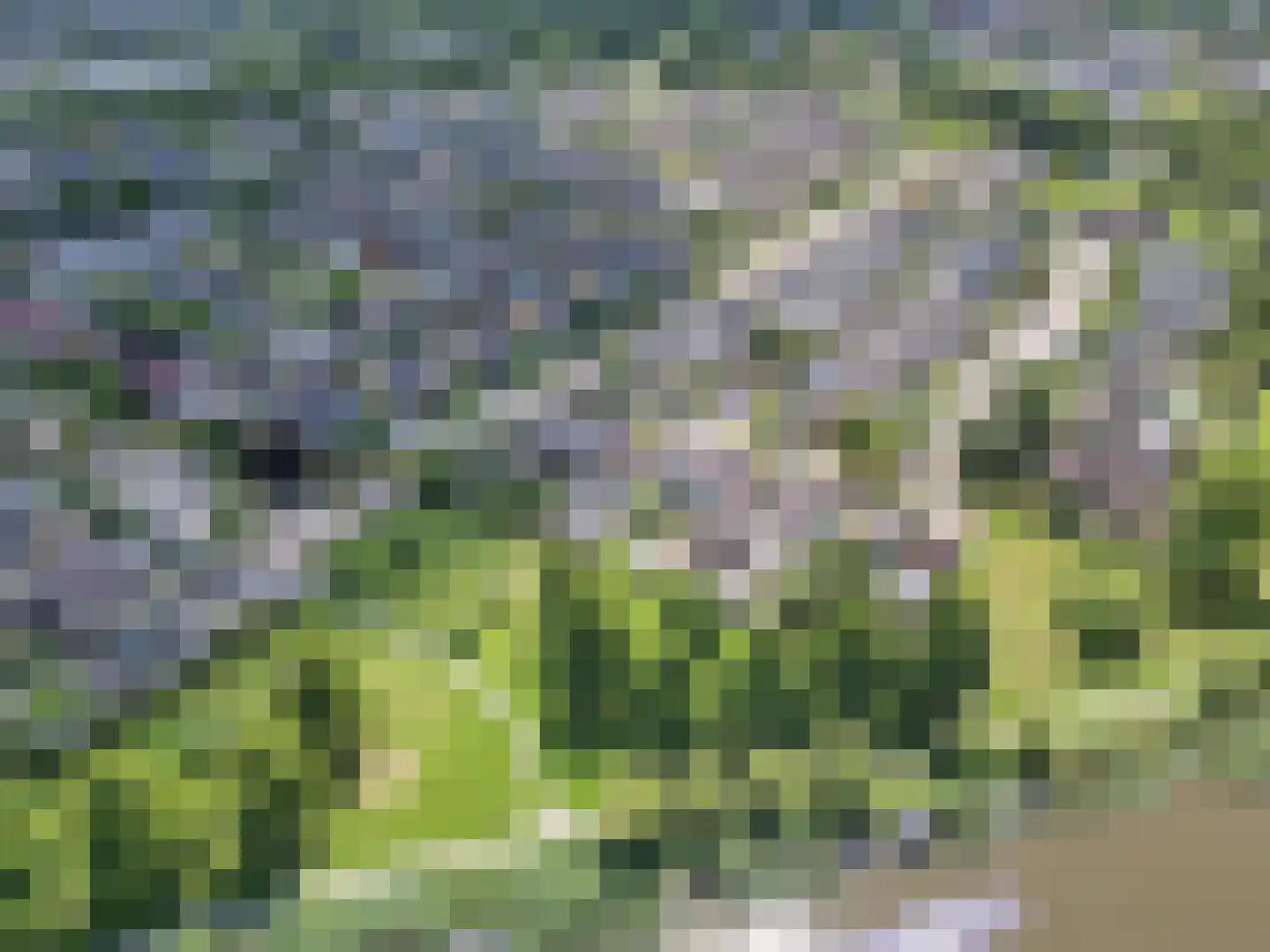 De Terpen 3 Bolsward thumbnail 49