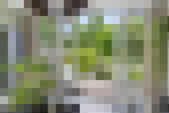 De Terpen 5 Bolsward thumbnail 15