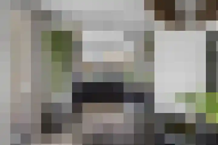 De Terpen 5 Bolsward thumbnail 16