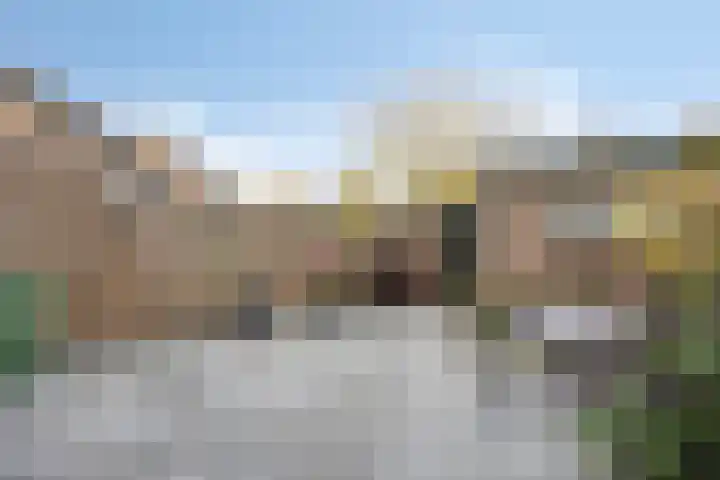 De Terpen 5 Bolsward thumbnail 18