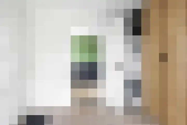 De Terpen 5 Bolsward thumbnail 21