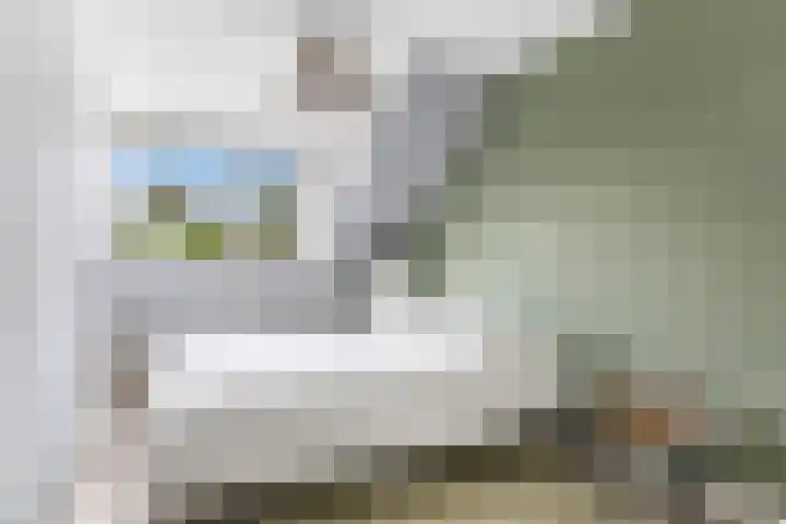 De Terpen 5 Bolsward thumbnail 25