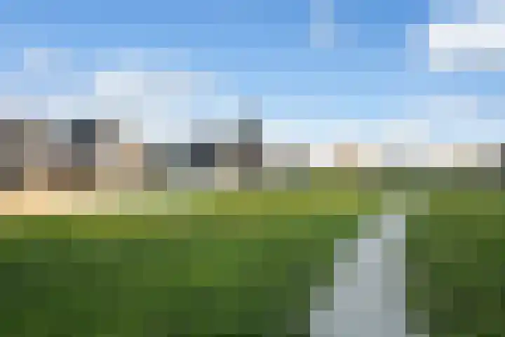 De Terpen 5 Bolsward thumbnail 34