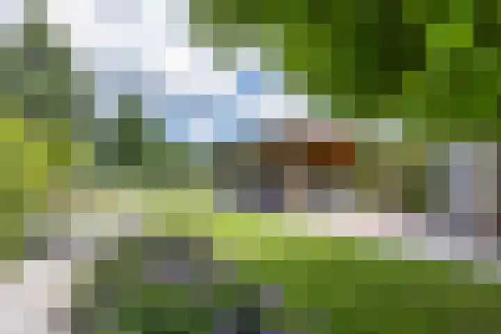 De Terpen 5 Bolsward thumbnail 37
