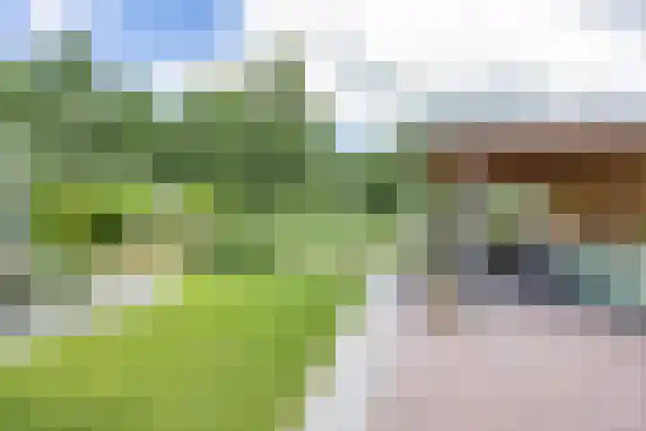 De Terpen 5 Bolsward thumbnail 39