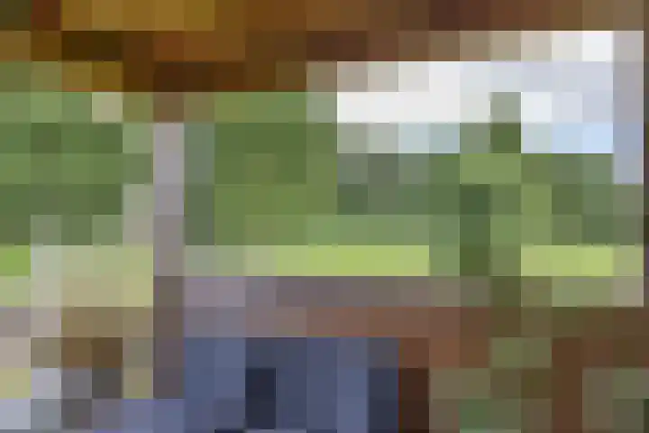 De Terpen 5 Bolsward thumbnail 41