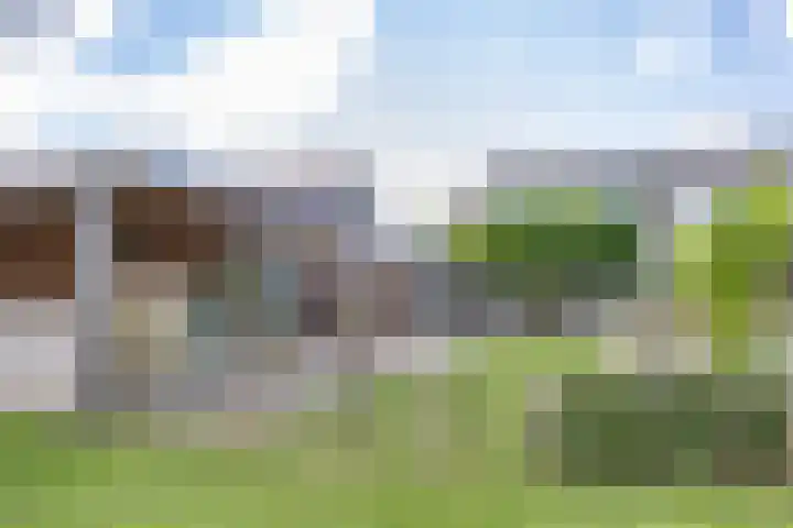 De Terpen 5 Bolsward thumbnail 43