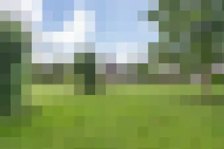 De Terpen 5 Bolsward thumbnail 44