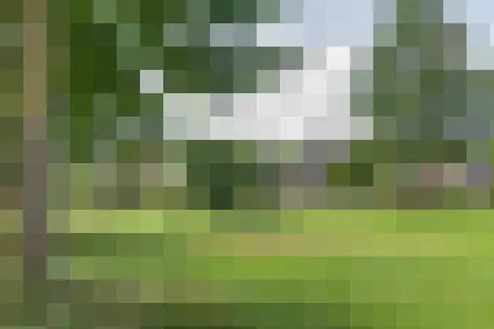 De Terpen 5 Bolsward thumbnail 45
