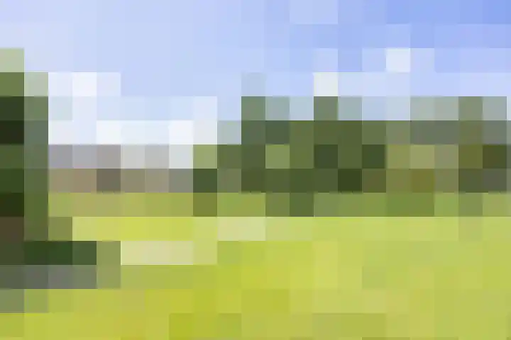 De Terpen 5 Bolsward thumbnail 46