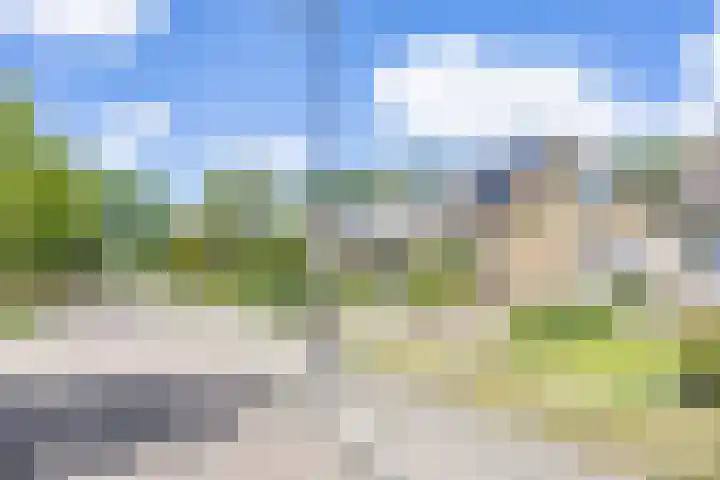 De Terpen 5 Bolsward thumbnail 47