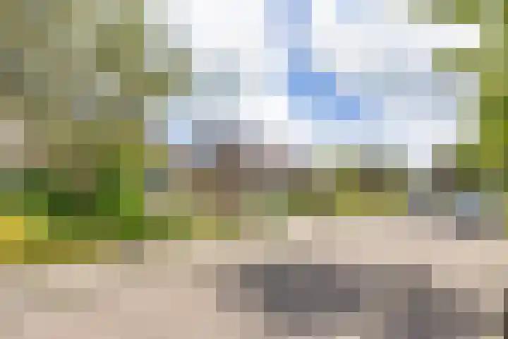 De Terpen 5 Bolsward thumbnail 48