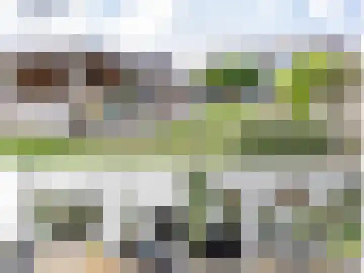 De Terpen 5 Bolsward thumbnail 5