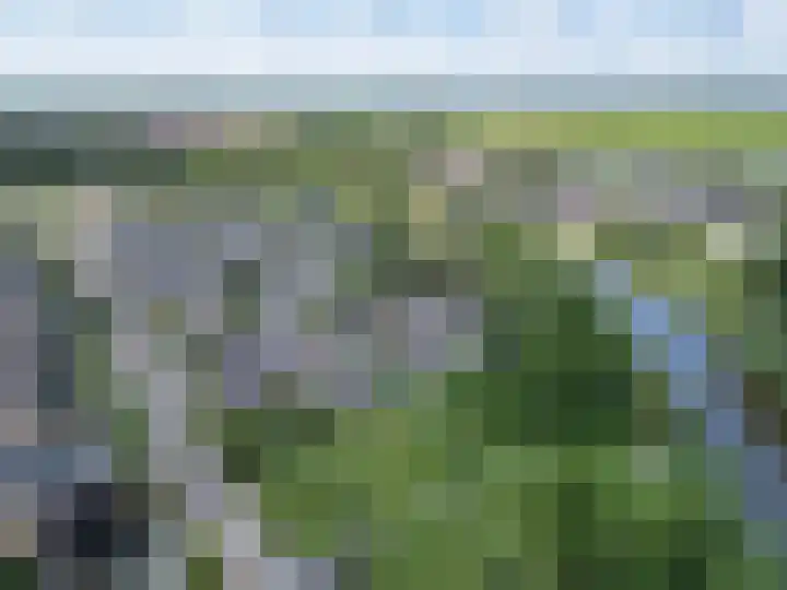 De Terpen 5 Bolsward thumbnail 52