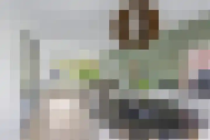 De Terpen 5 Bolsward thumbnail 6