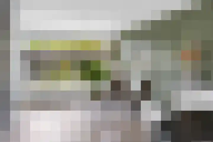 De Terpen 5 Bolsward thumbnail 8