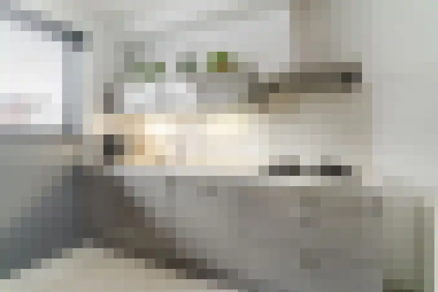 De Terpen 5 Waalwijk thumbnail 20