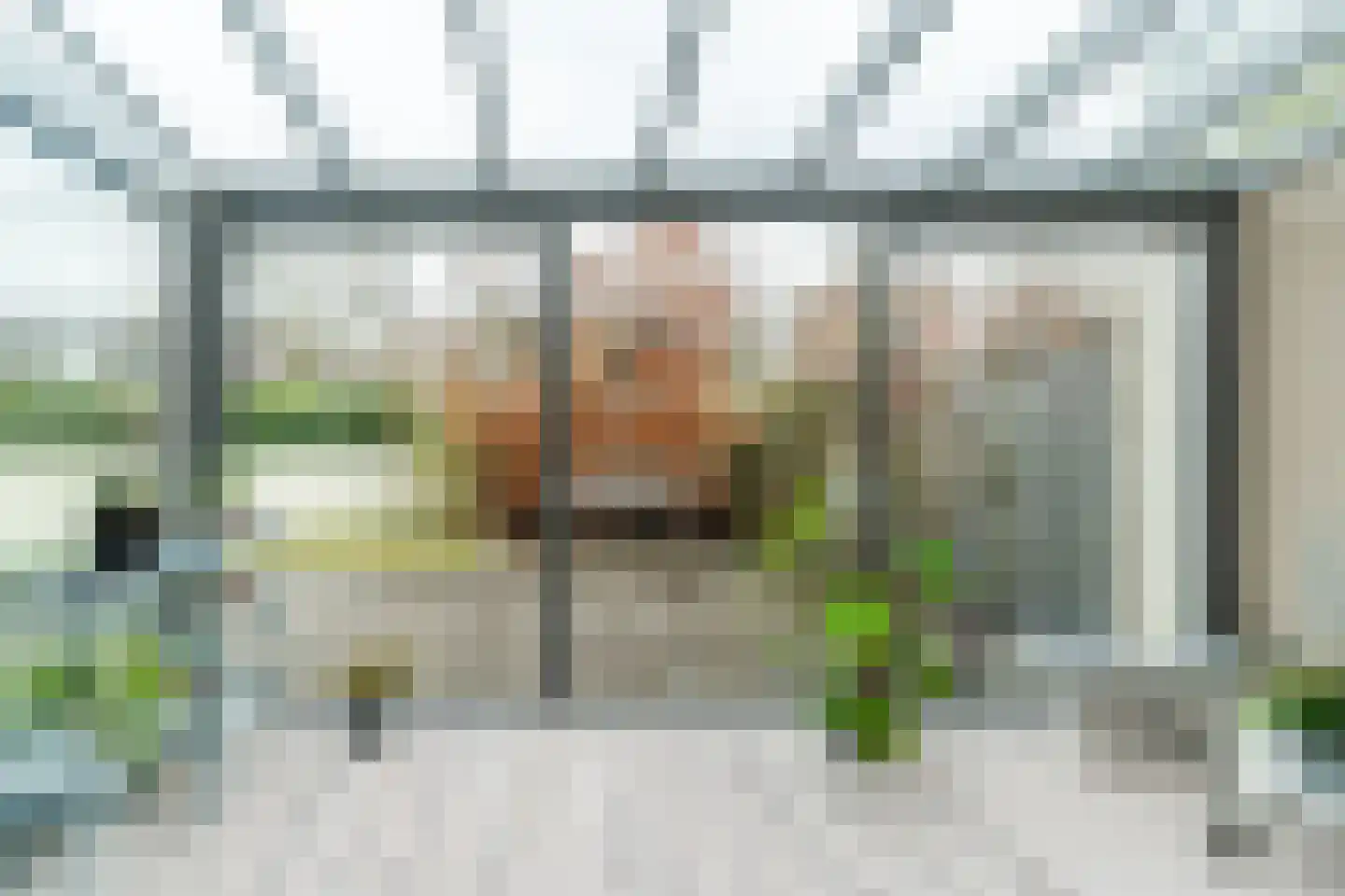 De Terpen 5 Waalwijk thumbnail 6