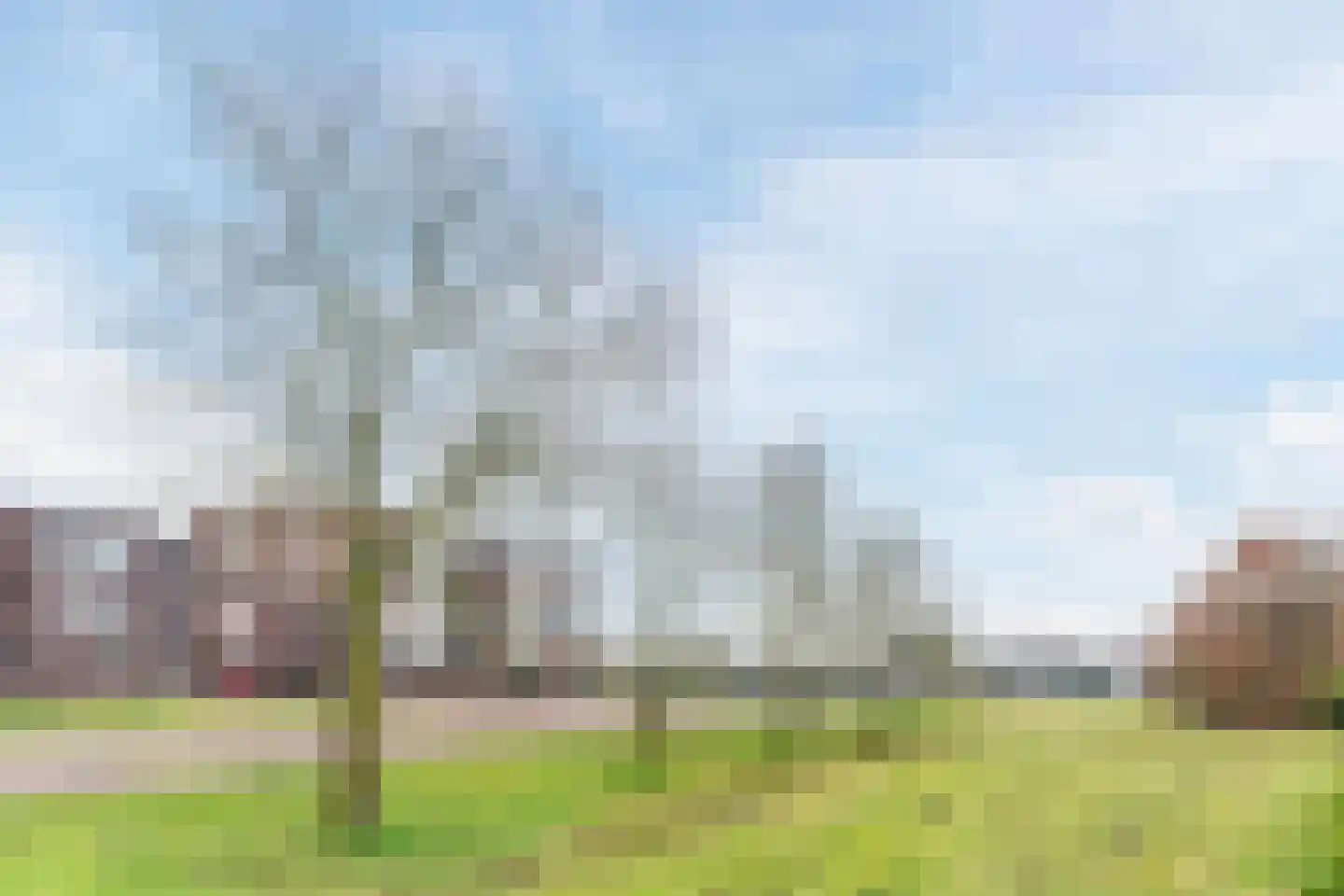 De Terpen 5 Waalwijk thumbnail 70