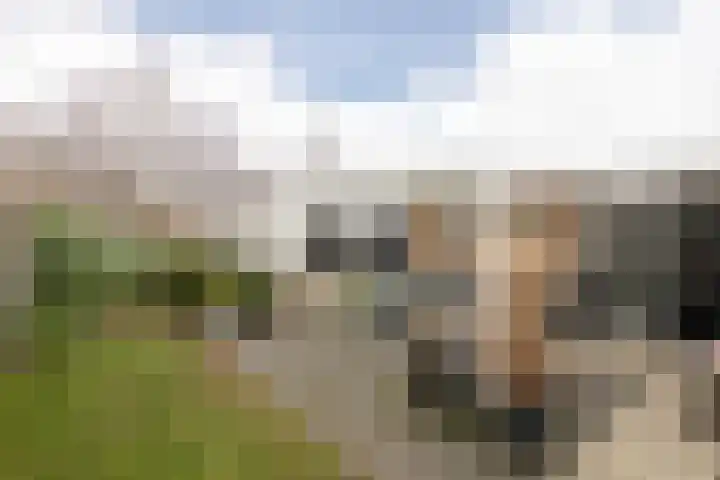 De Terpen 9 Bolsward thumbnail 36