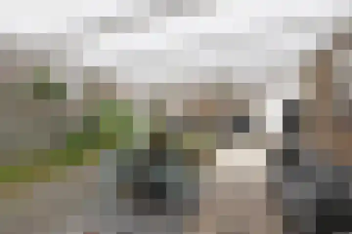 De Terpen 9 Bolsward thumbnail 37